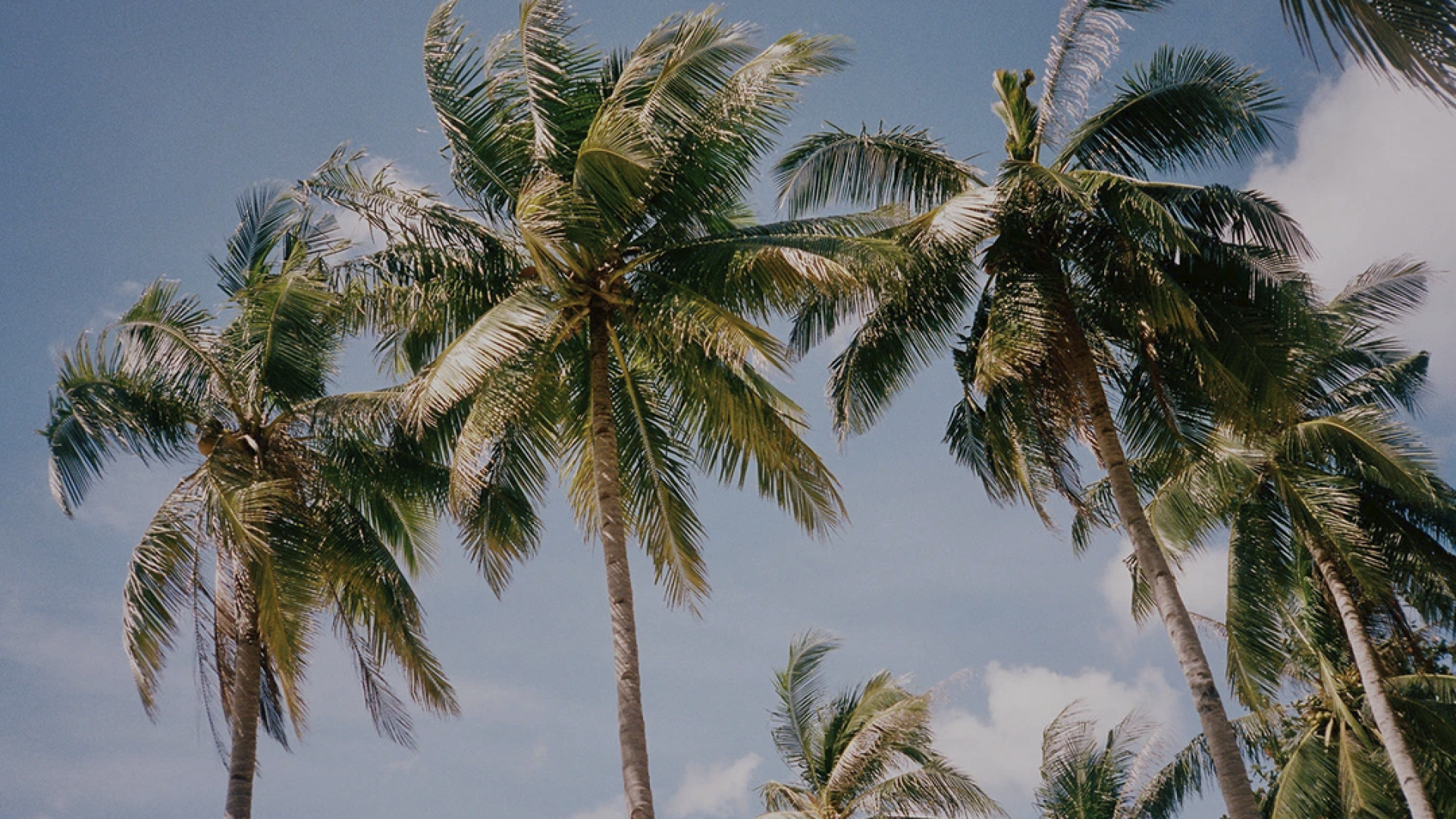 Screenshot 2025-05-18 at 07.09.12